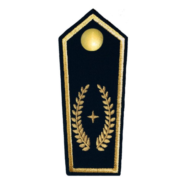 Schulterkl. stellv. Kreisbrandmeister