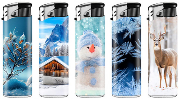 LUX ELEKTR. Motiv WINTER WON