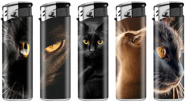 LUX ELEKTR. Motiv CATS